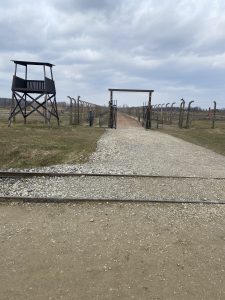 Dieses Bild macht die Weite und Größe des Konzentrationslagers Auschwitz ll Birkenau deutlich. Aufgrund dieser Größe, die nur ein Teil des eigentlich geplanten Lagers ausmacht, ist das Ganze schwer begreifbar oder fassbar, da es einem unwirklich vorkommt, dass dort so viele Menschen umgebracht wurden und zudem viele Nazis dies unterstützt bzw. toleriert haben.