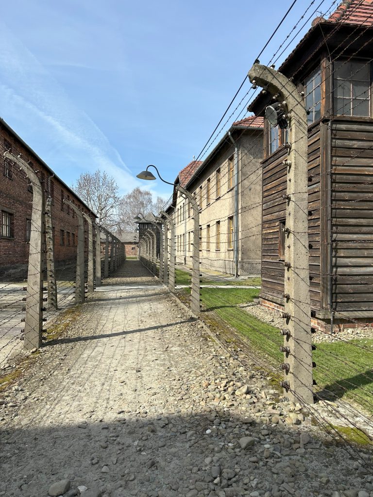 Der Aufenthalt in Auschwitz war unvorstellbar bedrückend. Als Schüler fällt es mir schwer, mir vorzustellen, wie schlimm es gewesen sein muss, dort zu sein. Die Geschichten und Bilder, die wir gesehen haben, lassen mich verstört zurück und betonen die Unmenschlichkeit dieses Ortes.